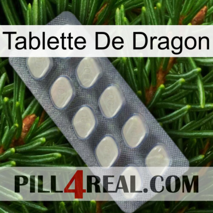 Dragon Tablet 08